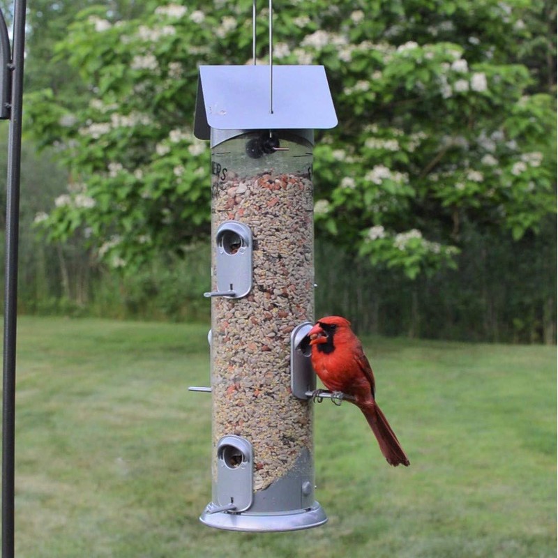 Wild Wings WWWMRS-Deco Farmhouse Deluxe Easy Clean Bird Feeder, Silver