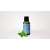 ACEITE ESENCIAL MENTA PIPERITA 30 ML.