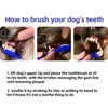 Rnlrclrl Dog Toothpaste and Toothbrush Set Dog Dental Care Fresh