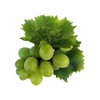 OliveNation Grape Flavoring Extract, TTB-Approved for Brewing, Baking, Fillings, Sauces,
