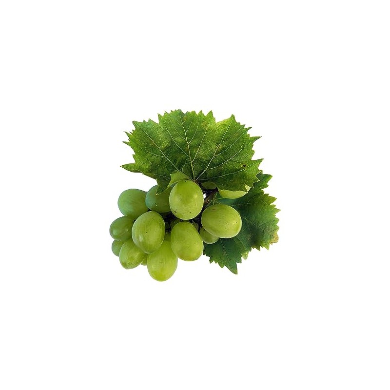 OliveNation Grape Flavoring Extract, TTB-Approved for Brewing, Baking, Fillings, Sauces,