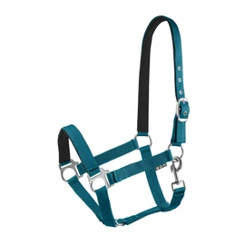 Start Adjustable Horse Headcollar - Nylon Headcollar with Padding - Sizes: Pony, Cob, Warmblood - Comfortable & Robust - Horse Halter for Stable & Pasture (Petrol Blue, Full)