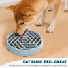 WHIPPY Slow Feeder Dog Bowl, Puzzle Maze Design to Slow