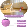 IOKHEIRA Cat Toy, Electric Cat Ball Toy, Interactive Cat Toy,