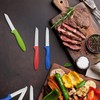 Paring Knife set of 6 PCS, 3.5 Inch Stainless Steel