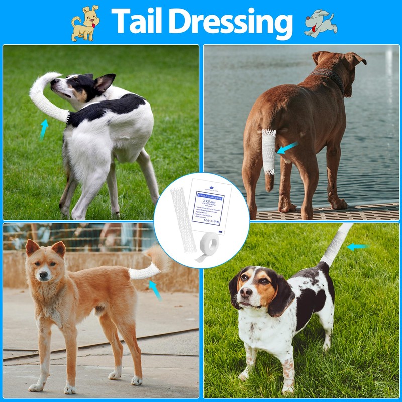 CHGShine Dog Tail Protector Starter Pack - Tail Dressing Vet
