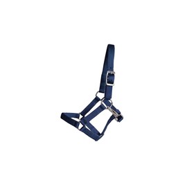 Rülke Holzspielzeug 50052 Accessories Garden Horse, Blue