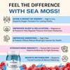 TrueSeaMoss Wildcrafted Sea Moss Gel – Blue Spirulina and Raspberry