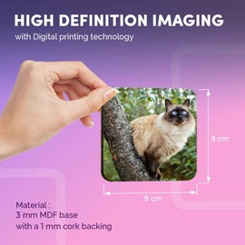 Destination Vinyl ltd Great Coasters (Set of 4) Square - Balinese Cat in Tree Blue Eyes Drink Glossy Coasters/Tabletop Protection for Any Table Type #15812