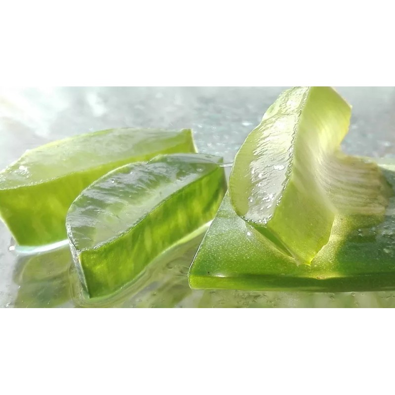 Productos Mart Mexico Gel De Extracto De Áloe Vera Hidratante