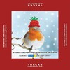 Mixed Charity Christmas Cards Red Robin Hat - Box 30