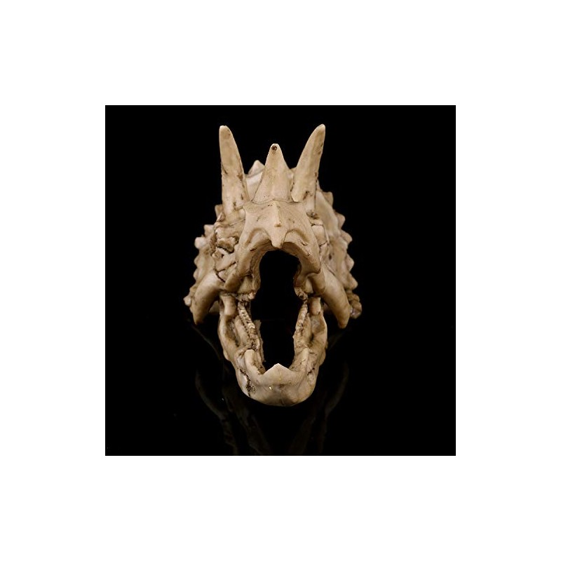 VOANZO Resin Triceratops Skull Model Replica, Dinosaur Tooth Skull Fossil,