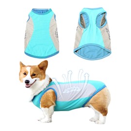 MUNSKT Dog Cooling Vest Cool coat Jacket for Dogs Soft Comfortable with Reflective Strip for Summer (Blue, XXL)