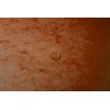 Exacompta 541204E premium folder stapled. Made from extra strong Colorspan
