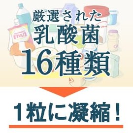 Revolution of Lactic Acid Bacteria GOLD (High Formulation of Lactic Acid Bacteria), 16 Kinds of Lactic Acid Bacteria, Water Soluble Dietary Fiber Inulin, Certified by the Japan Intestinal Flora