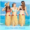 Janmercy 31.5 Inch 12 Pack Natural Raffia Hula Skirt Grass