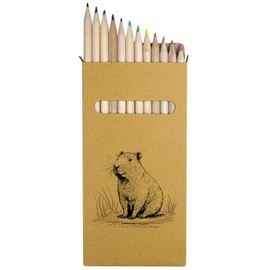 Azeeda 12 x ' Capybara' Long 178mm Coloured Pencils/Pencil Set (PE00057901)