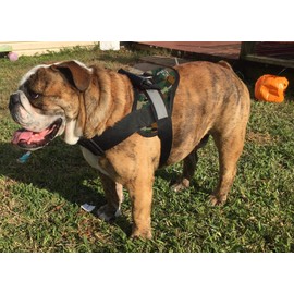 HDP Big Dog Soft No Pull Harness Size:XXLarge Color:Camo