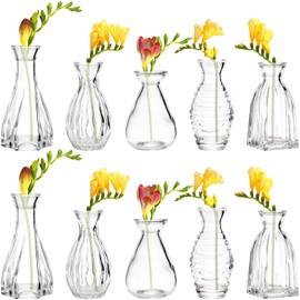 SOUJOY 10 Pack Small Glass Bud Vase, Mini Flower Vase for Centerpieces, Clear Vintage Floral Bud Vases for Home Decor, Weddings, Floral Arrangements, Events, Parties