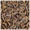 Everwilde Farms - 1 Lb Caraway Herb Seeds - Gold