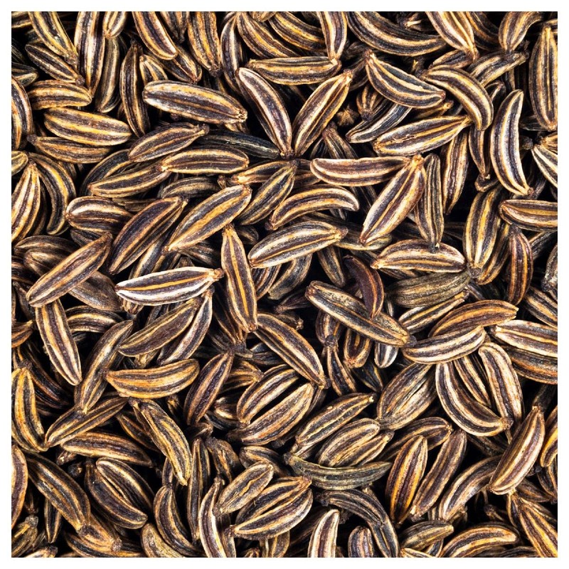 Everwilde Farms - 1 Lb Caraway Herb Seeds - Gold