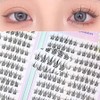 Momo Lash large capacity no-glue eyelashes, 288 hairs, 10mm 11mm 12mm mixed composition, 1 piece, black / 모모래쉬 대용량 노글루 속눈썹 288모 10mm 11mm 12mm 혼합구성, 1개, 블랙