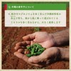 Okinawa Prefecture Chili Pepper, Green Cut, Spice, Colegouse, 3.3 oz
