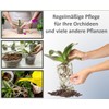 Meindekoartikel 10 Orchid Pots Diameter 12 cm or Diameter 15