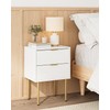 Aienvey Night Stand, Modern Bedside Table with 2 Storage Drawer,