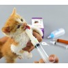 Pet Feeding Bottle. Pet Syringe. Pet Puppy Bottles. Dog and