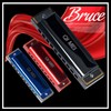 QIMEI Blues Harmonica 10/24 Hole Stainless Steel C Tone Airtight