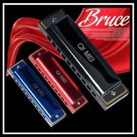 QIMEI Blues Harmonica 10/24 Hole Stainless Steel C Tone Airtight Beginner Advanced Set Case (10 Holes, Red)