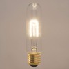 Xtricity 25 Watt T10 Clear Tubular Incandescent Light Bulb, Showcase