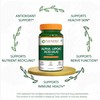 Pure Nutrition Alpha Lipoic Acid 600mg + Vitamin E |