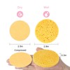 HUAXIN BIOTECHNOLOGY 50-Count Compressed Facial Sponges,100% Natural Cellulose Cosmetic Facial