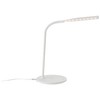 Lightbox Basic LED Desk Lamp - 34 cm Height -