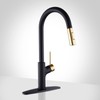 Achelous Black and Gold Kitchen Faucet with Pull Down Magnetic