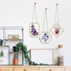 3pcs Pressed Flower Frames with Tweezers,Gold Wall Hanging Double Glass