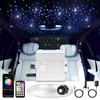 CHINLY 500pcs Starlight Headliner Kit,Twinkle Star Lights for Car Ceiling,APP
