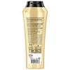 Gliss Shampooing Huile Précieuse 250ml (x1)