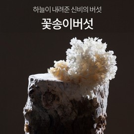 Detailed page [Kyungshin Bio] Fermented cauliflower mushroom enzyme cloth powder type 400g 1 month supply / [경신바이오] 발효 꽃송이버섯 효소 천 분말형 400g 1개월분