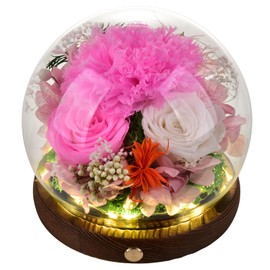 TAIKUU 久の物 Preserved Eternal Pink Real Carnation Gift Box Long-Lasting Real Flowers for Women Mom Wife Girlfriend Grandma Mother's Day Anniversary Birthday