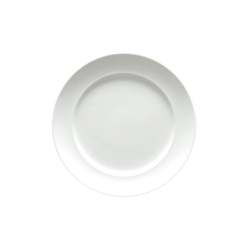 Fortessa Fortaluxe SuperWhite Vitrified China Dinnerware, Cassia 9 5/8-Inch Salad/Dessert