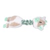 Pet Chewing Toy Bite Resistant Interactive Squeaky Pet Biting Toy