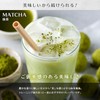 VALX バルクス WPCホエイプロテイン抹茶風味420g マルチビタミン水溶性ビタミン マルチビタミン 脂溶性ビタミン 3種セット