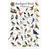 Where's Wildlife Backyard Birds of Delaware Bird Identification Poster (8"