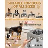 Elevated Dog Bowls, Dog Feeder with 2 Stainless Steel Dishes