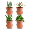 D'vine Dev 4 Inch Design Self Watering Planter for Indoor