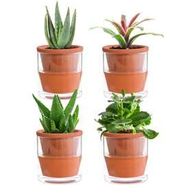 D'vine Dev 4 Inch Design Self Watering Planter for Indoor Plants, Terracotta Pot with Cylinder Glass Cup, Set of 4, 372-A-4