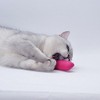 Kingsie Plush Cat Toy, Chewing Toy, Cat Play, Stress Relief,